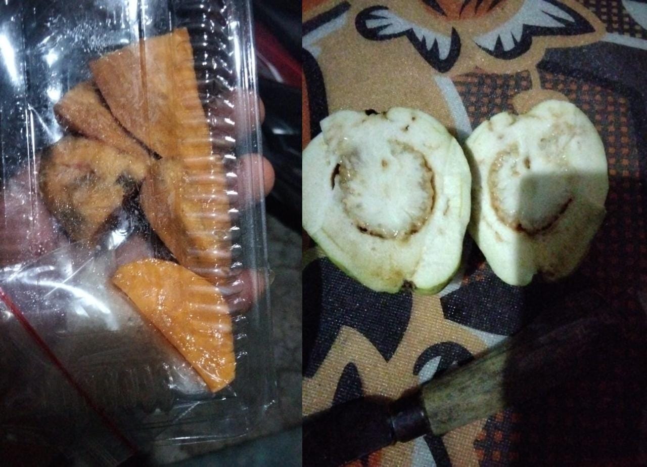 Foto: Diduga MBG Busuk dan Basi, Dok. Istimewa