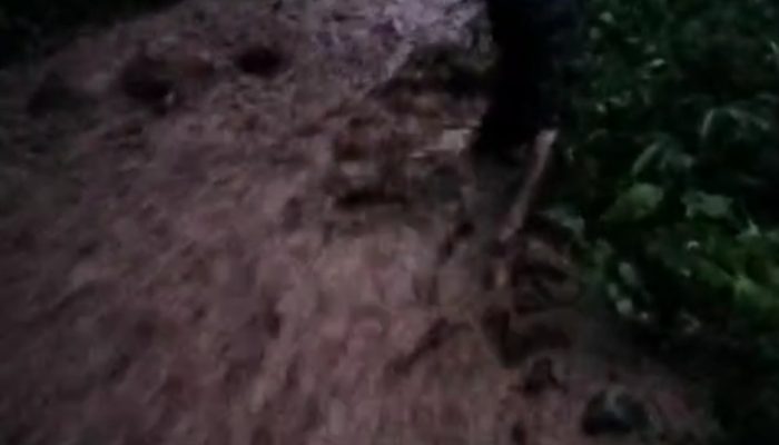 Breaking News, Beutong Ateuh Dilanda Banjir Jalan Nasional Dikabarkan Lumpuh