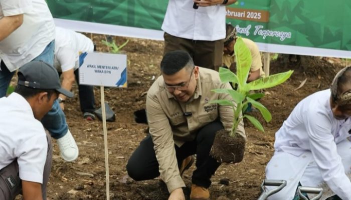 Wamen ATR/BPN Tanam Pisang Cavendish di Jembrana, Simbol Penataan Akses Tanah Ulayat Pertama di Indonesia