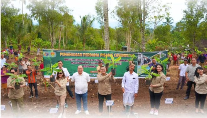 Simbolisasi Penataan Akses Tanah Ulayat Pertama di Indonesia, Wamen ATR/BPN Tanam Pisang Cavendish di Jembrana