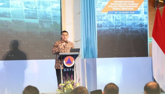 Wamen ATR/Waka BPN: Tata Ruang Berperan Penting dalam Mitigasi Bencana