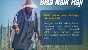 Menteri ATR/BPN: Maksimalkan Lahan dan Sertipikat Tanah, Bertani Bisa Buka Jalan Menuju Tanah Suci
