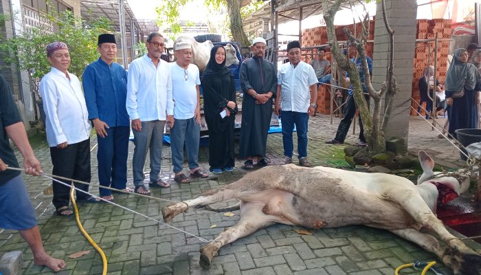 Idul Adha 1446 H, Rahudman Harahap dan Keluarga Sembelih Dua Ekor Lembu Kurban untuk Masyarakat