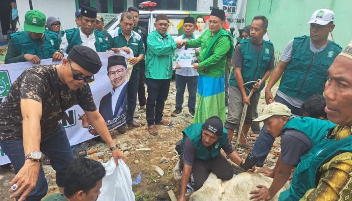 DPC PKB Kota Medan Sembelih Dua Sapi Kurban, Bagikan Daging untuk Warga dan Kader