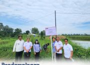 Pendampingan