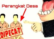 Baru Menjabat, Pj Geuchik Gampong Buket Diduga Pecat Perangkat Desa Secara Sepihak Tanpa Alasan