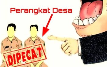Baru Menjabat, Pj Geuchik Gampong Buket Diduga Pecat Perangkat Desa Secara Sepihak Tanpa Alasan