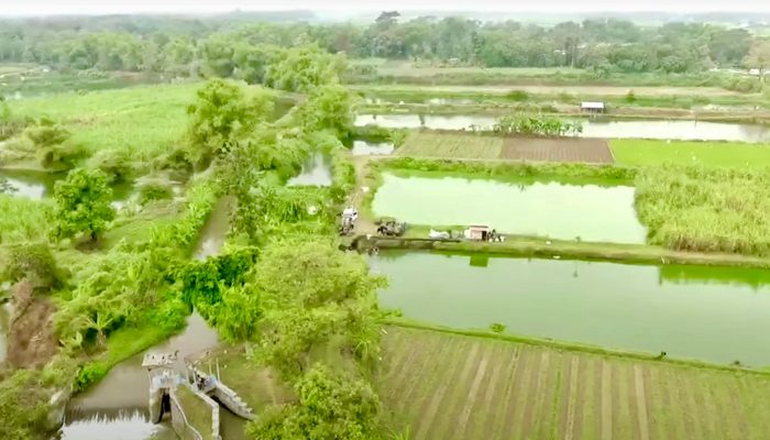 Mengenal Desa Rejoagung, Potensi Desa Meningkat Setelah Program Penataan Akses Reforma Agraria