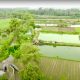 Desa Rejoagung