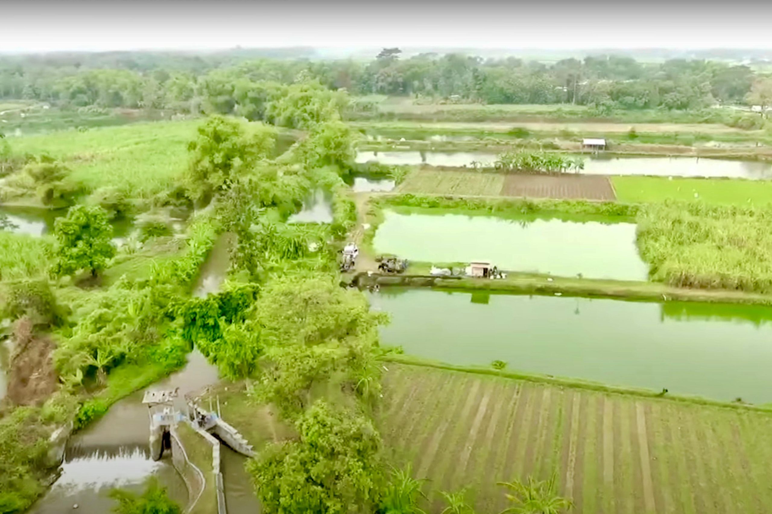 Desa Rejoagung