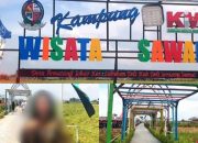 Desa Wisata Sawah Mangkrak, Warga Minta Kejari Periksa Kepala Desa Pematang Johar