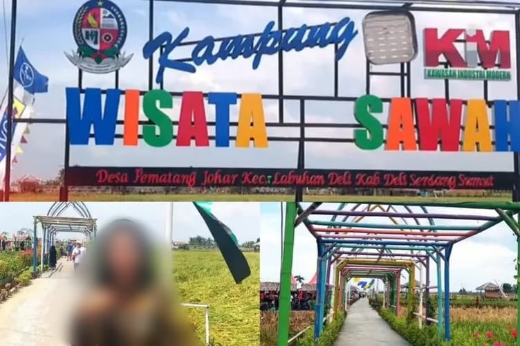 Desa Wisata Sawah Mangkrak