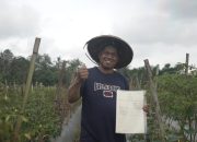 Setahun Menteri Nusron