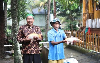 Pembibitan Ikan