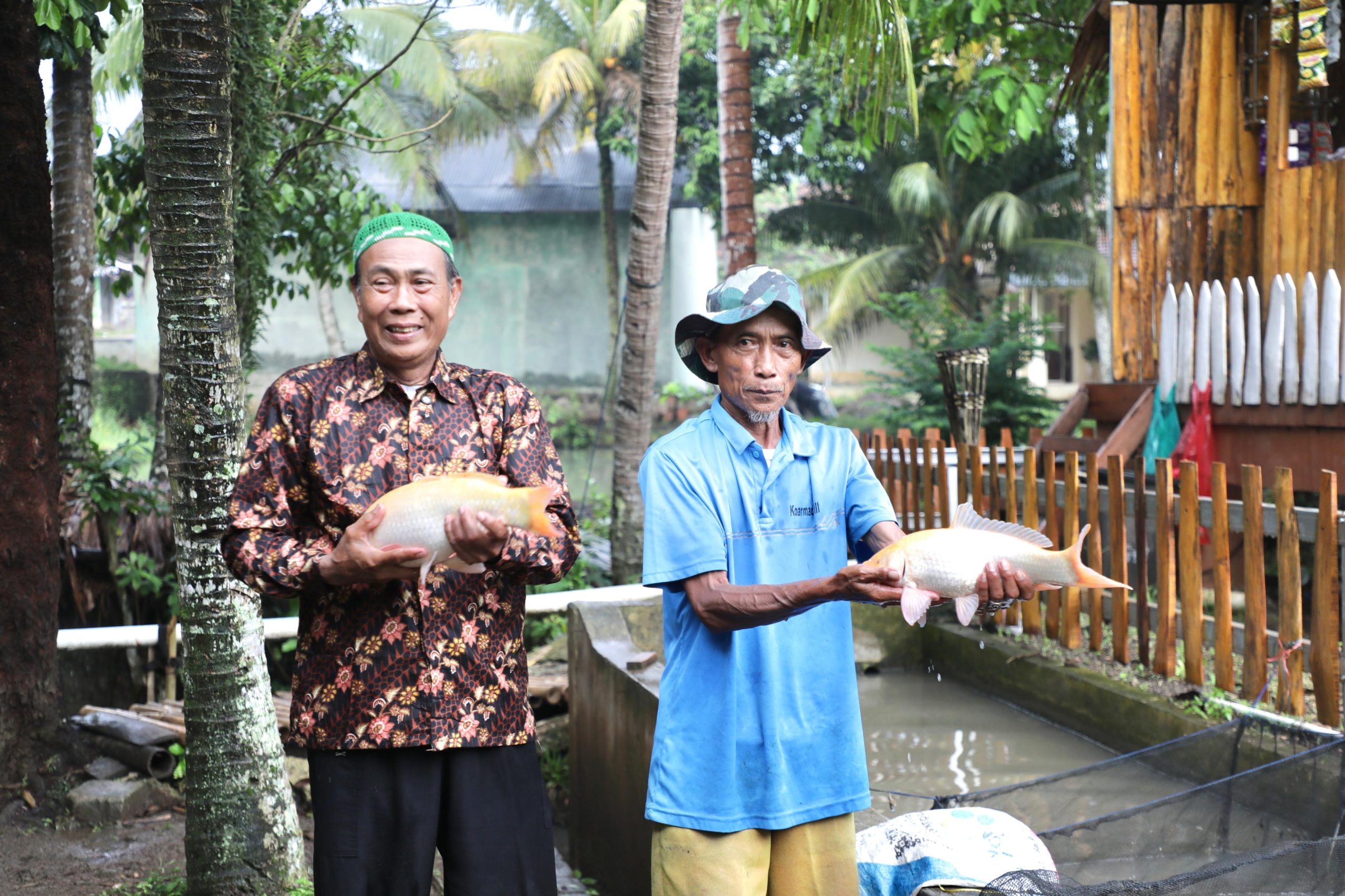 Pembibitan Ikan