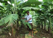 Kanpung Reforma Agraria