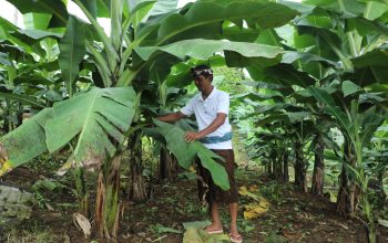 Kanpung Reforma Agraria