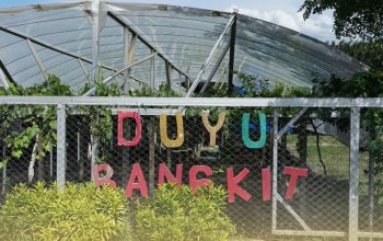 Petani Anggur Duyu Bangkit