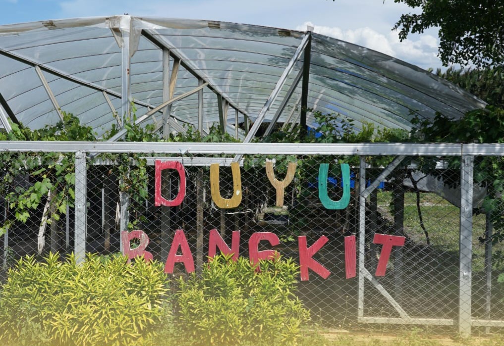 Petani Anggur Duyu Bangkit