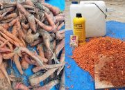 Pemberdayaan Kelompok Tani Dalam Manajemen Limbah untuk Meningkatkan Pendapatan Petani Wortel