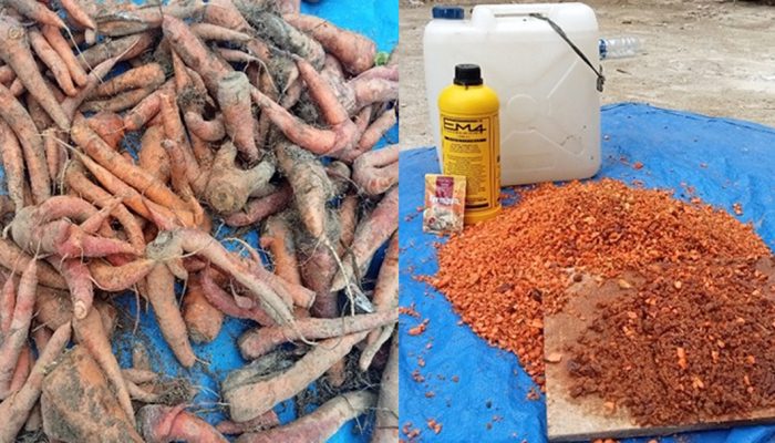 Pemberdayaan Kelompok Tani Dalam Manajemen Limbah untuk Meningkatkan Pendapatan Petani Wortel