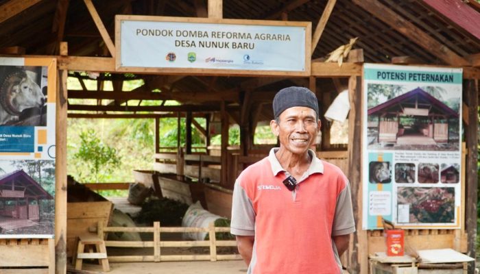 Reforma Agraria Buka Akses Warga Desa Nunuk Baru untuk Jalankan Usaha Ternak Domba