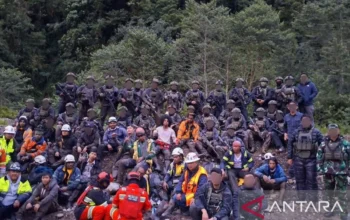 TNI evakuasi karyawan Freeport yang terjebak oleh OPM di Papua Tengah