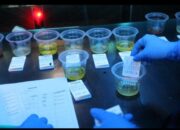 Gempur Peredaran Narkoba, Polda Sumut Amankan 16 Pengunjung Hiburan Malam dalam Razia Kilat