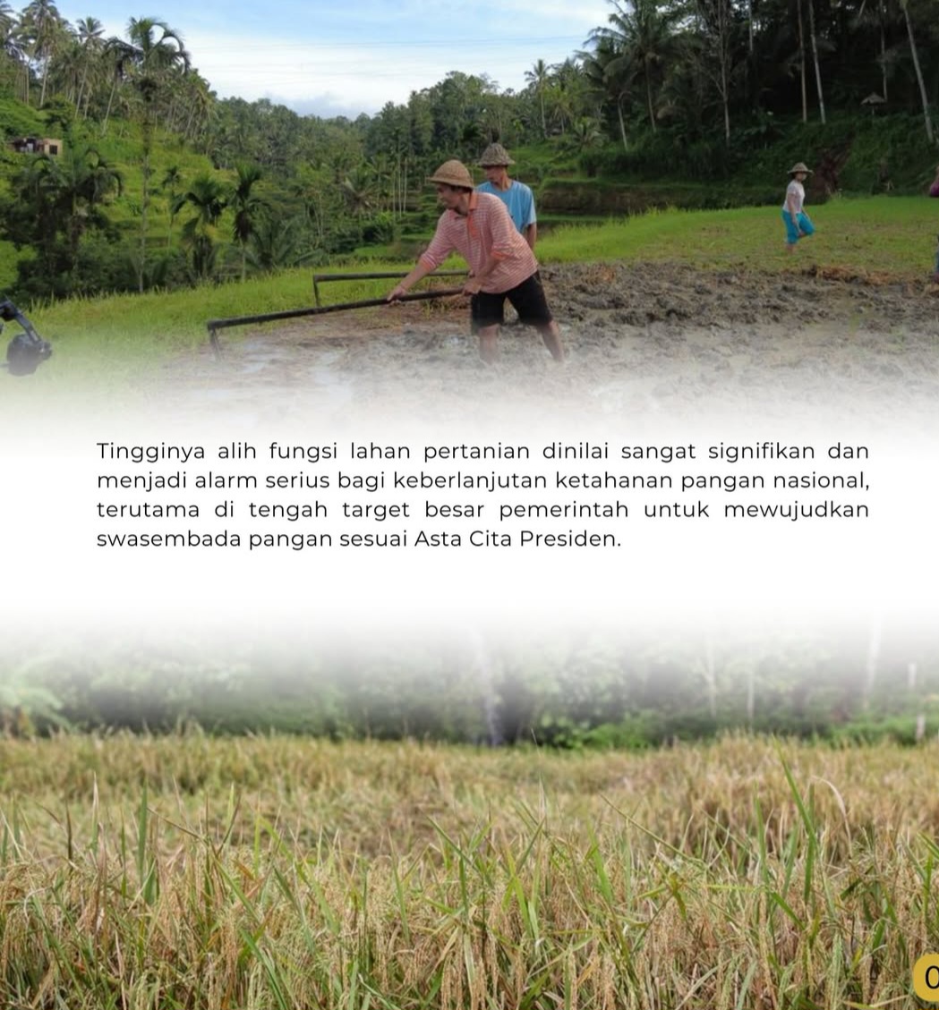 Penyusunan Lahan Sawah
