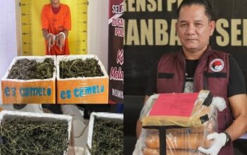 Konsisten Berantas Narkoba, Kinerja Kasat Narkoba Polres Labusel AKP M. Lumban Gaol Tuai Apresiasi Luar Biasa