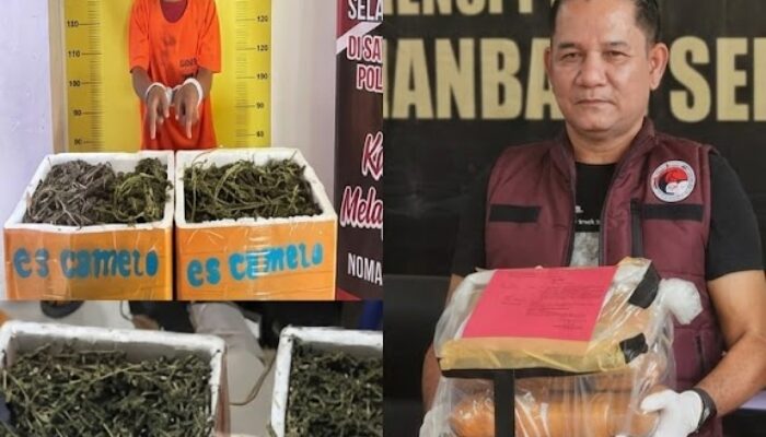 Konsisten Berantas Narkoba, Kinerja Kasat Narkoba Polres Labusel AKP M. Lumban Gaol Tuai Apresiasi Luar Biasa