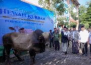 Serahkan Hewan Kurban ke Ponpes Darunnajah, Menteri Nusron: Iduladha Jadi Momentum Mempererat Kebersamaan