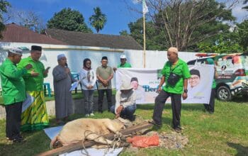 Semangat Berbagi, PKB Kota Medan Sembelih Hewan Kurban Bantuan Ketum Muhaimin Iskandar dan Kader