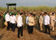 Dampingi Presiden
