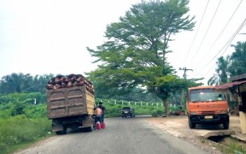 ACUH KAN DESAKAN WARGA, N ALIAS NINGOT DIDUGA MASIH BEBAS EDARKAN SOLAR ILLEGAL DI DESA TANJUNG MEDAN