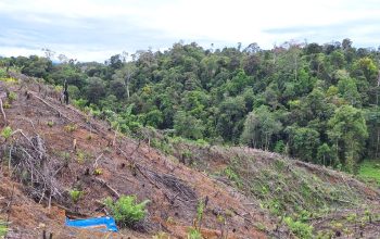 UU Pengaturan Reforma Agraria Buka Jalan Pemulihan Hak Masyarakat dalam Konflik Pertanahan