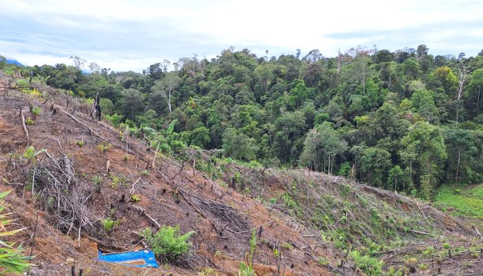 UU Pengaturan Reforma Agraria Buka Jalan Pemulihan Hak Masyarakat dalam Konflik Pertanahan