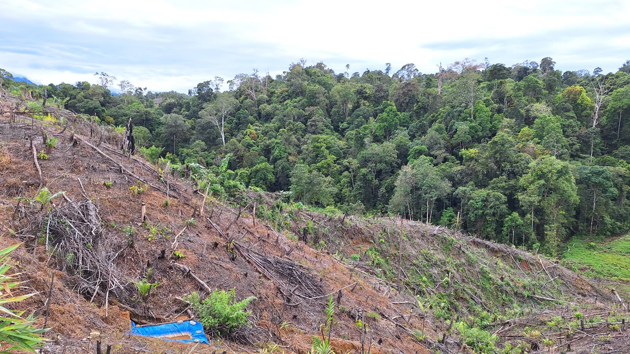 UU Pengaturan Reforma